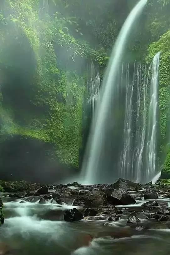 冬青奥会中国再获两银一铜