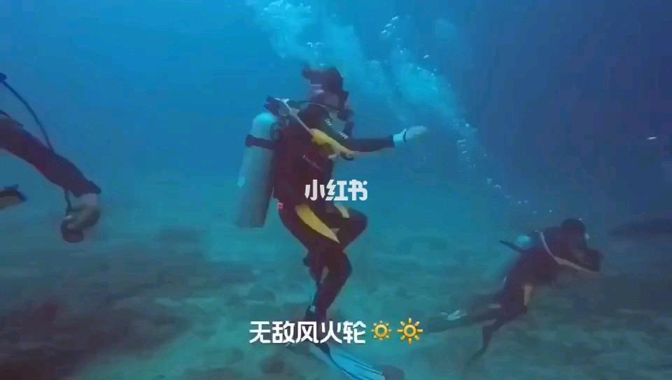 虫虫助手下载