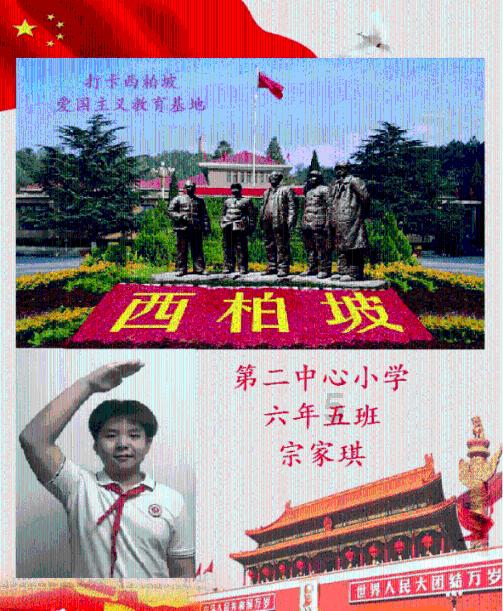 探索炖鸭汤要加一些什么食材社区,发现无限乐趣!